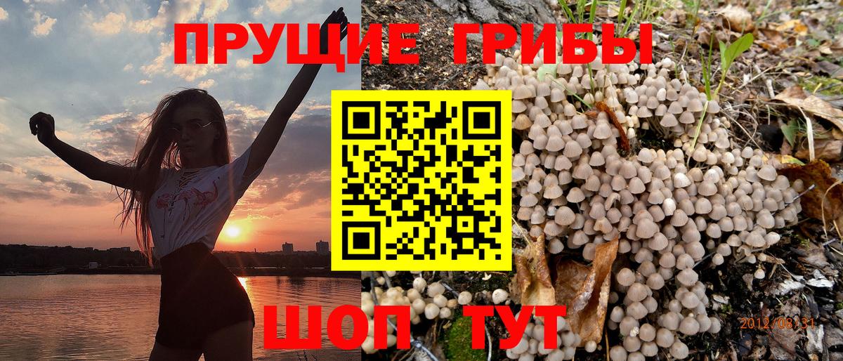Псилоцибиновые грибы Psilocybe  Вход с VPN  Валуйки  Галлюциногенные грибы мицелий 
